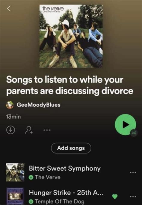 oddly specific songs i relate to .